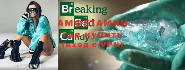 шишки Верхний Тагил