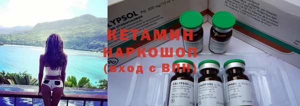 шишки Верхний Тагил