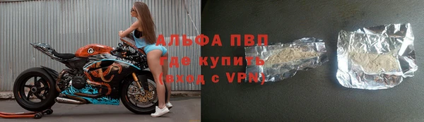 шишки Верхний Тагил