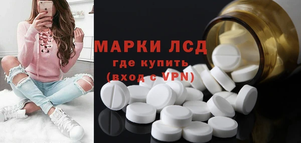 шишки Верхний Тагил