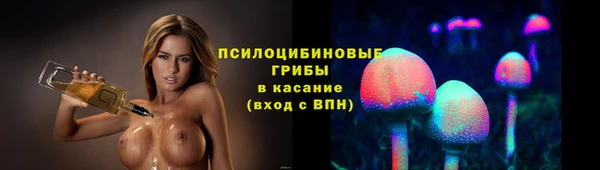 шишки Верхний Тагил