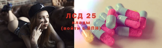 спиды Верея