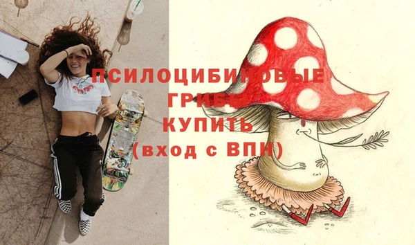 спиды Верея