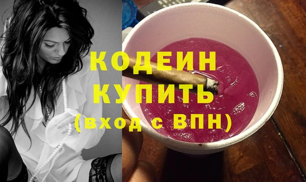 шишки Верхний Тагил