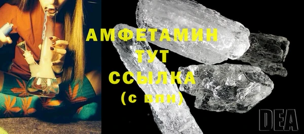 шишки Верхний Тагил