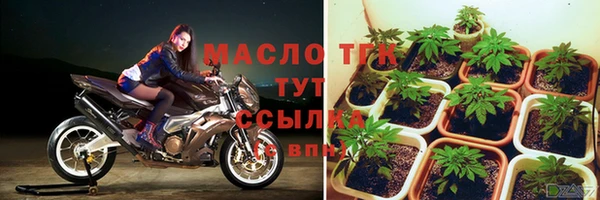 спиды Верея