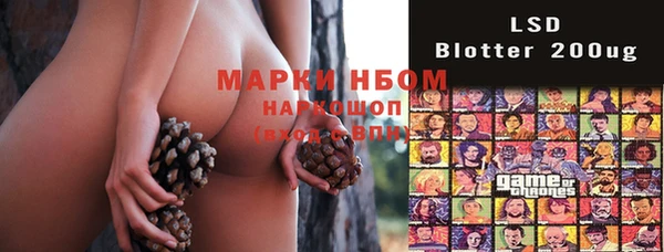 спиды Верея