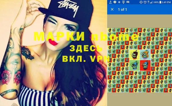 шишки Верхний Тагил