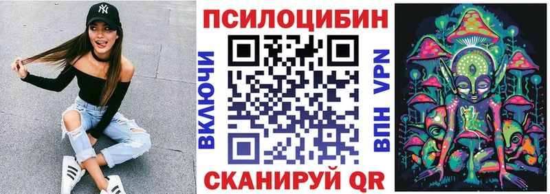 Купить где  Камызяк  Псилоцибиновые грибы мухоморы 